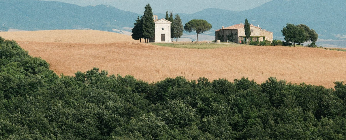 Colline mediterranee con cipressi e vigne nella luce della sera — l'universo di Cypress & Grapevine di Jo Malone London, di cui Tom Hardy è ambasciatore, della profumeria Olara