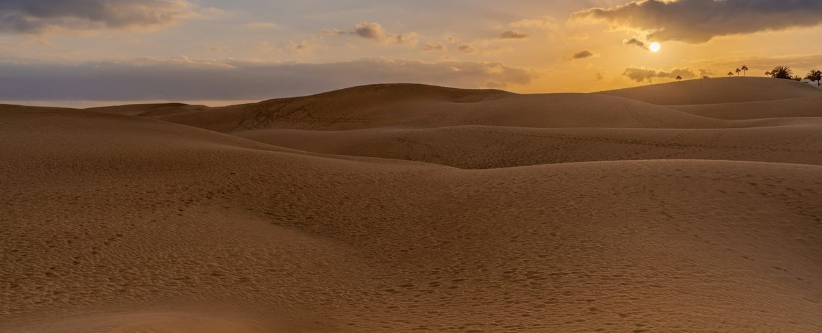 Dunas de arena doradas bajo la luz del atardecer — un guiño a los paisajes de Dune y al universo de Austin Butler, embajador de YSL Beauty, por la perfumería Olara