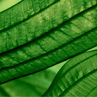 Biotherm - Sérum Concentré Hydratation Profonde et Lumière