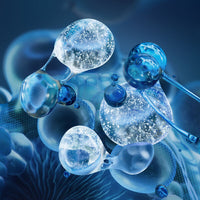 Biotherm - Sérum régénérant fondamental