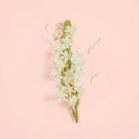 Gucci Bloom Ambrosia d'Oro- Eau de Parfum