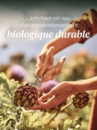 L'Occitane Gommage Corps Artichaut