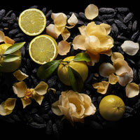 Kilian Paris - Woman in Gold