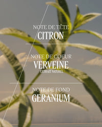 L'Occitane - Eau de Toilette Verveine