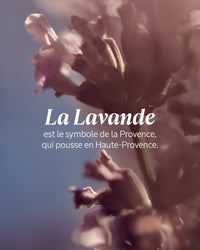 L'Occitane Crème Mains Lavande