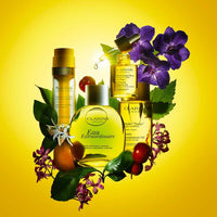 Clarins - Plant Gold L'Or des Plantes