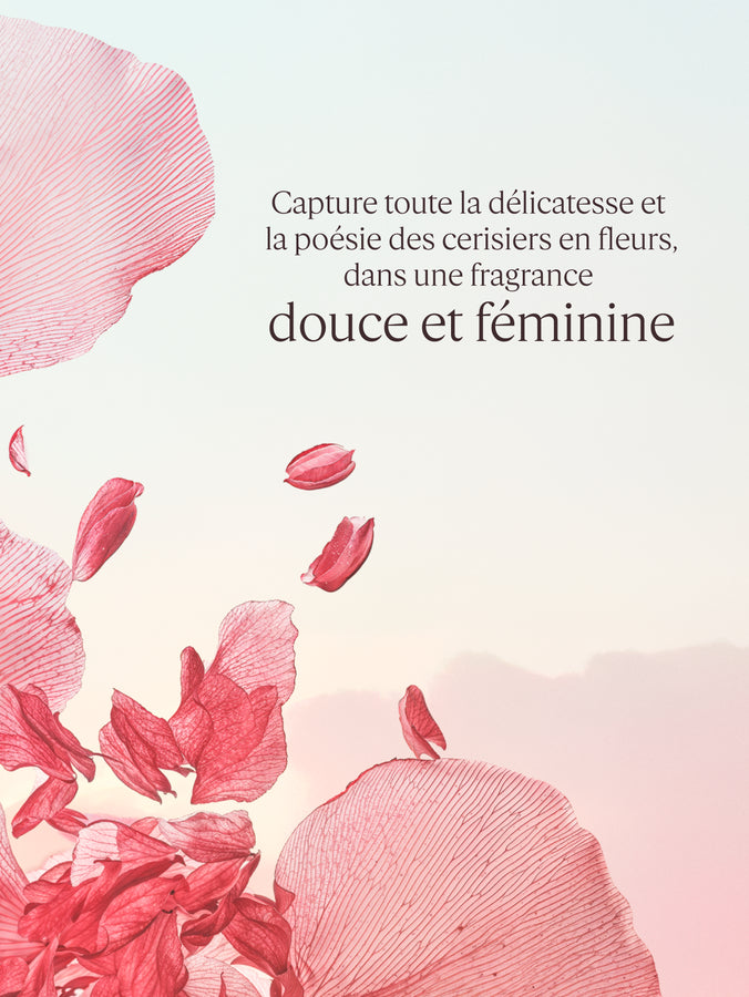 L'Occitane Gel Douche parfumé Fleurs de Cerisier