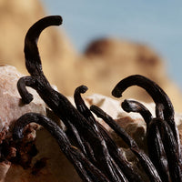 Dolce Gabbana Queen - Parfum