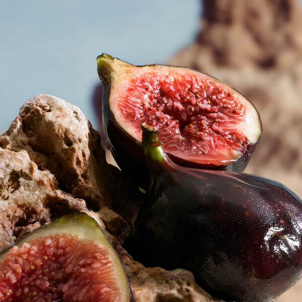 Dolce Gabbana K - Perfume