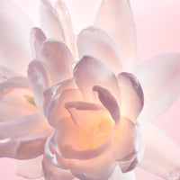 Armani my way parfum notes olfactives