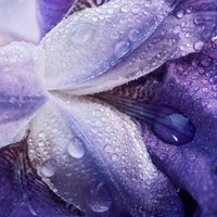 Armani my way parfum notes olfactives