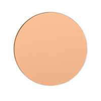 Shiseido Expert Sun Protector UV SPF30 - Kompaktes Make-up