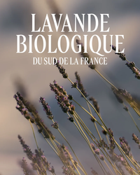 L'Occitane Crème Mains Lavande