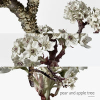 Hermès Un Jardin Sur Le Toit - Eau de Toilette