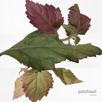 Hermès Eau des merveilles bleue - Eau de Toilette