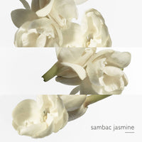 Hermès Le Jardin de Monsieur Li - Eau de Toilette