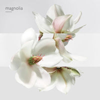 Hermès Un Jardin Sur La Lagune - Eau de Toilette