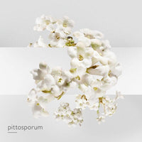 Hermès Un Jardin Sur La Lagune - Eau de Toilette