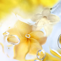 Lancôme Ô Zenith - Eau de toilette