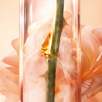 Lancôme Absolue - Intensive Concentrated Serum