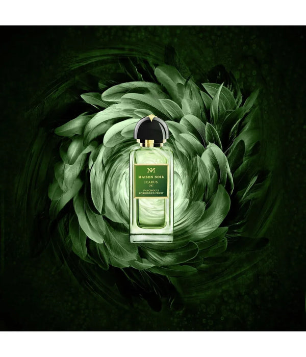 Maison Noir - Icarus 347