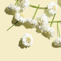 Clarins - Huile Relax
