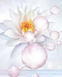 Estée Lauder Soft Clean - Tonique Douceur Hydratant