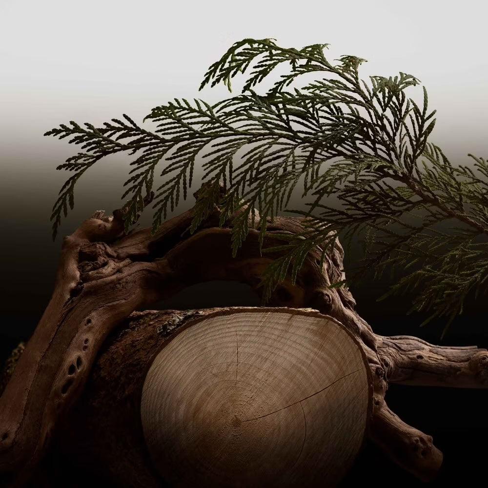 Burberry Hero - Parfüm