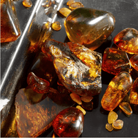 Dolce Gabbana Queen - EDPI