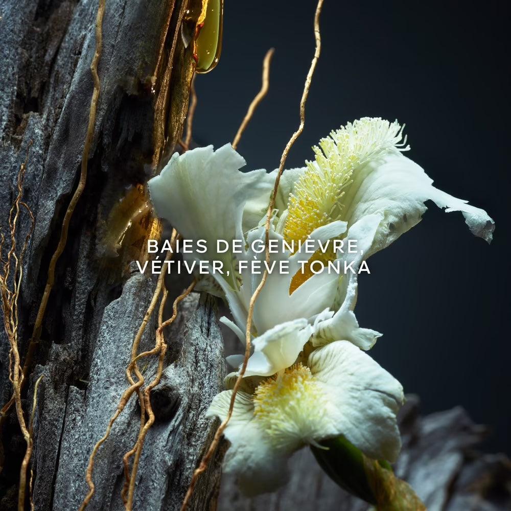 Guerlain Vetiver Parfum