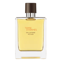 Hermès Terre d'Hermès - Eau intense vétiver-Parfumerie Olara-1