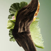 Prada Paradigme - Eau de parfum