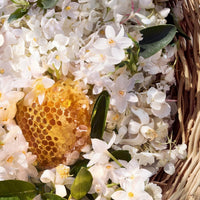 Guerlain Aqua Allegoria Harvest Nerolia Vetiver