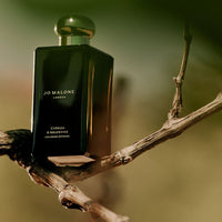 Jo Malone London - Cypress & Grapevine