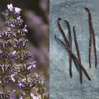 Pour un Homme de Caron - Après-rasage