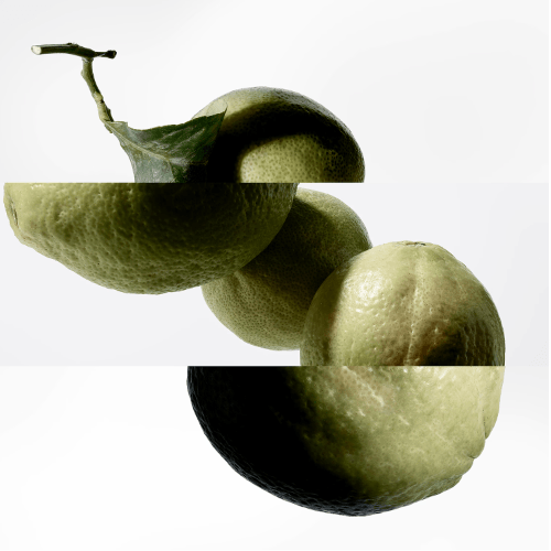 Hermès Terre d'Hermès - Eau intense vétiver