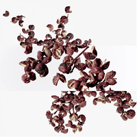 Hermès Terre d'Hermès - Intense vetiver fragrance