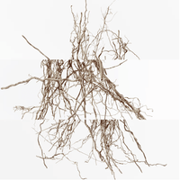 Hermès Terre d'Hermès - Intense vetiver fragrance