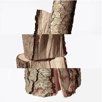 Hermès Terre d'Hermès - Eau de toilette