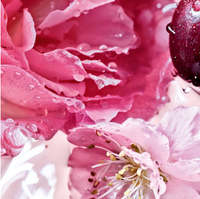 Guerlain La Petite robe noire Rose cherry