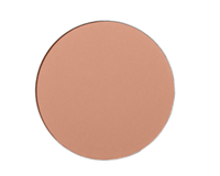 Shiseido Expert Sun Protector UV SPF30 - Kompaktes Make-up