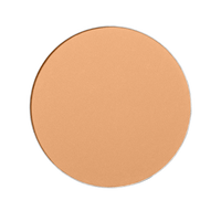 Shiseido Expert Sun Protector UV SPF30 - Kompaktes Make-up