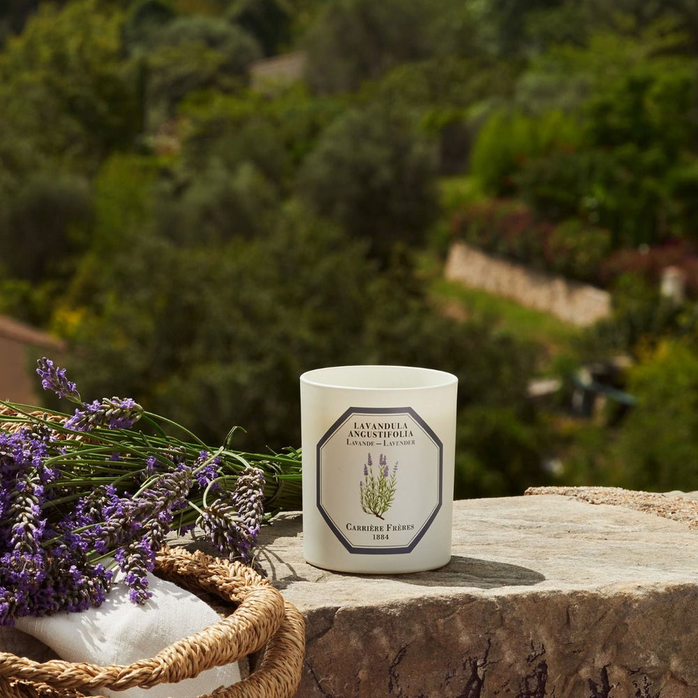 Carrière Frères - Bougie Lavande