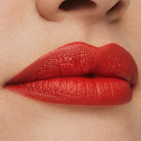 Estée Lauder - Pure Color Rouge à lèvres Mat