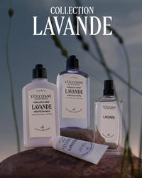 L'Occitane Crème Mains Lavande