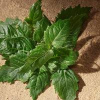 Dolce Gabbana Devotion Pour Homme - Eau de Parfum