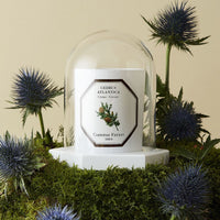 Carrière Frères - Le Dôme