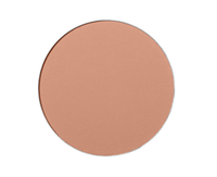 Shiseido Expert Sun Protector UV SPF30 - Kompaktes Make-up