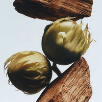 Jo Malone London - English Oak & Hazelnut