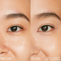 Shiseido Synchro Skin Radiant Lifting Concealer
